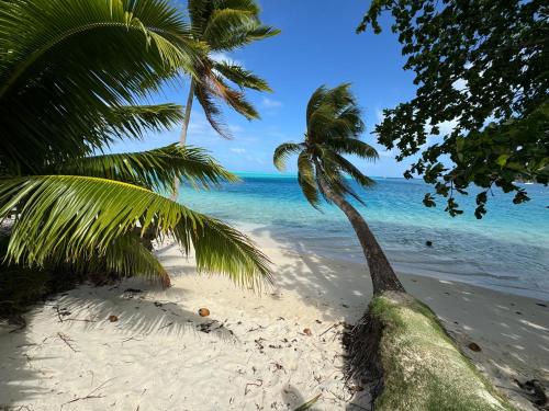 Mitiana Lodge Huahine in ฮัวฮีเน อิตี