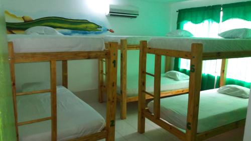 Taganga Paradise Hostal & Diving