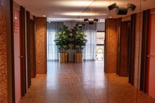 Glebe NYC-Style Luxury Loft Apartment on Wentworth Park in Glebe