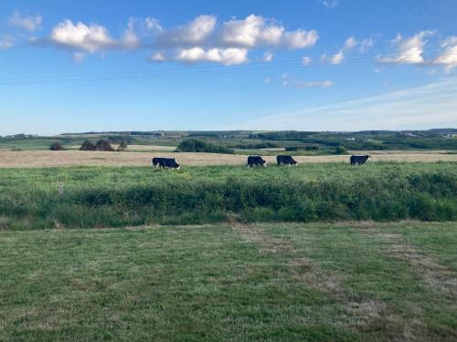 Harvest Moon in Doolin
