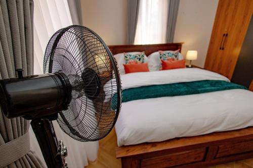One-Bedroom Apartment image 10