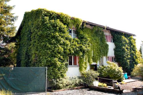 Ländlezimmer (Landlezimmer) in แรงค์วีล