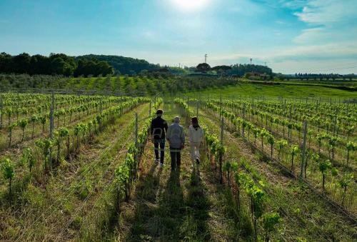 Навколишнє середовище, Agriturismo La Tanna in Collesalvetti
