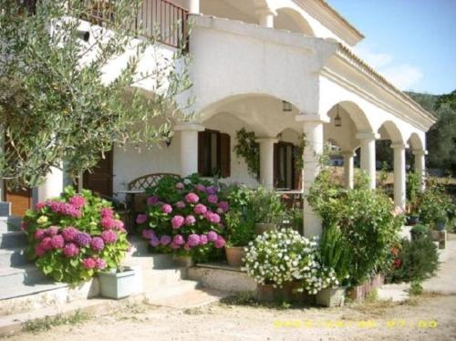 residence u filipaghju chambre d'hôte Galeria