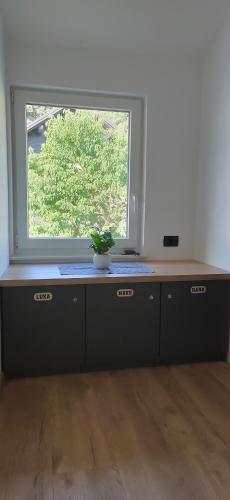 MaxLux Apartments in Slovenj Gradec