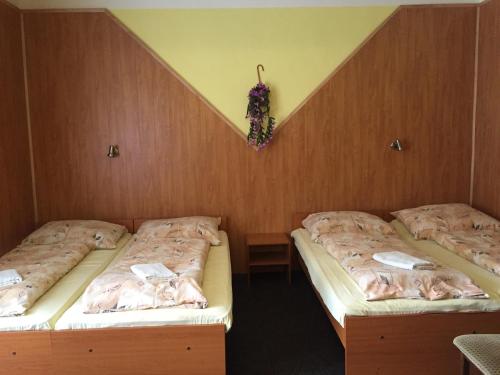 Hotel Reoneo in Vernirovice