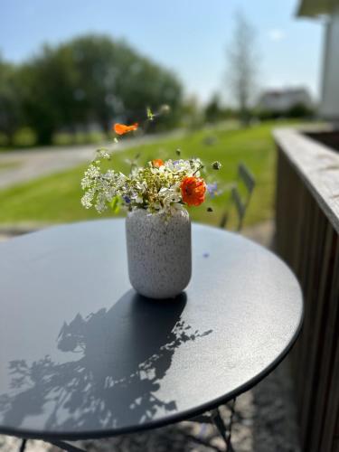 Lofoten Retreat Apartment in Leknes