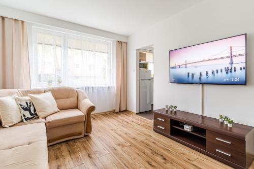 Sala de estar / sala de TV, Apartamen pod Wierzbą (Apartamen pod Wierzba) in Orunia Gorna