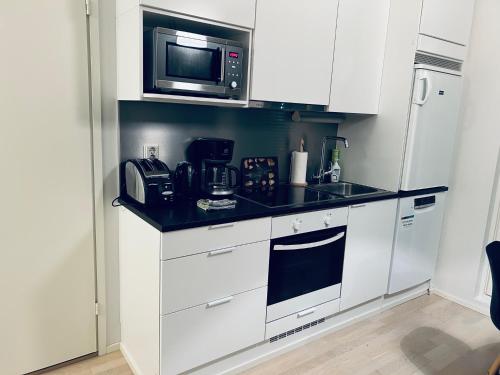 Apartment in Vantaa, own parking, near station, terrace loft, Netflix, Vantaa (foto 7)