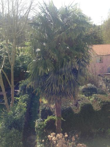 Studio proche forêt (Studio proche foret) in 茹伊昂若薩