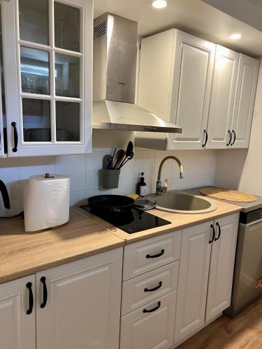 Villa Poilsinė (Villa Poilsine) in 巴爾寧凱