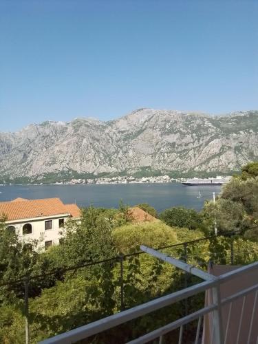 Apartments Djuricic - Kotor