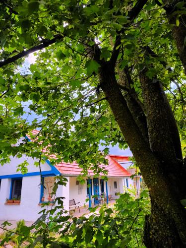 Exterior view, Blue Forest Retreat in Mánfa