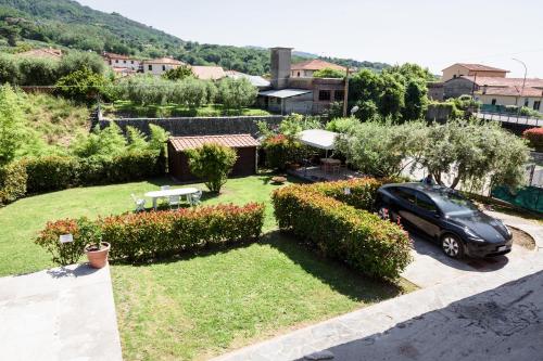 Il gatto e la volpe 1 in Pescia