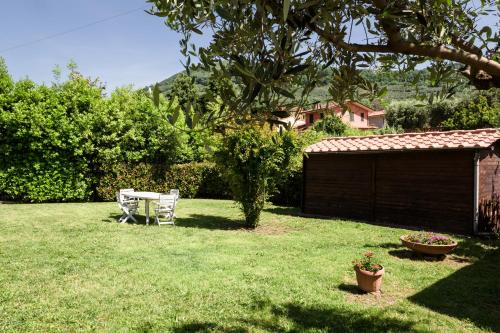 Il gatto e la volpe 1 in Pescia