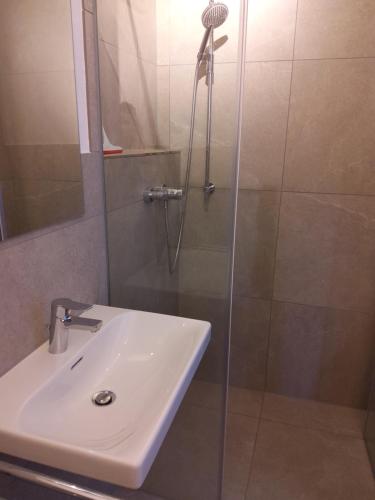 淋浴間, Einzimmer Apartment in Benediktbeuern in 貝內迪克特博伊埃爾恩