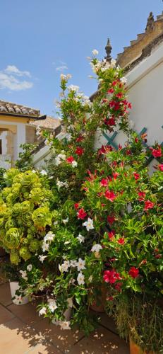 Apartamentos Los Descalzos Ángel With Private Terrace Free Parking, Ronda (photo 9)
