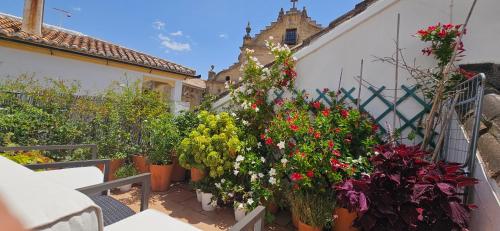 Apartamentos Los Descalzos Ángel With Private Terrace Free Parking, Ronda (photo 6)
