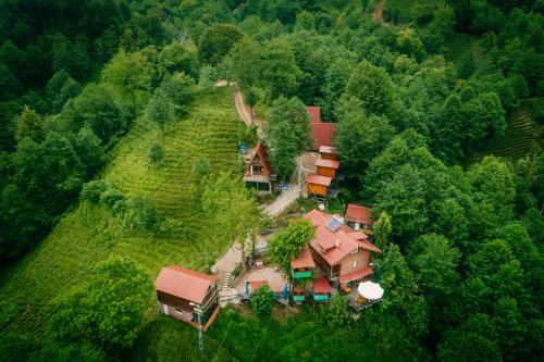 Viesnīcas āriene, Elagza Dag Evi in Yaylaköy