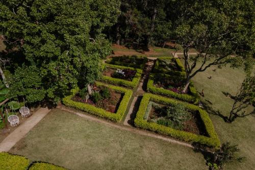 Cotan Ecolodge in La Esperanza