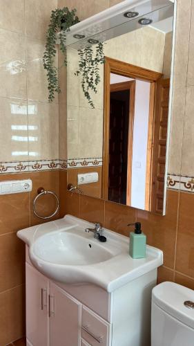 Apartamentos el Olivo