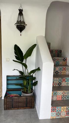 Blue house Nature and calm in El Bujeo