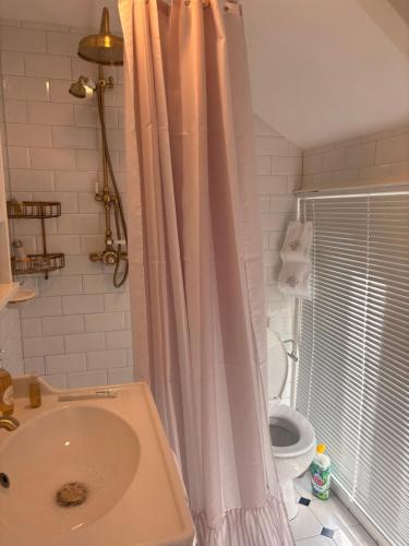 Quiet Renovated house in city center, Гаага (фото 9)