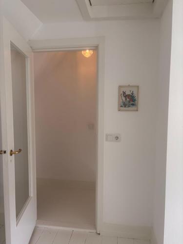Quiet Renovated house in city center, Гаага (фото 4)