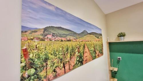 Splendide Studio Centre Colmar Room Type - Deluxe Apartment - Montagne verte