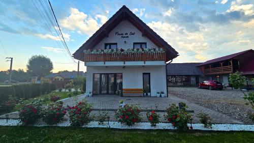 Viesnīcas āriene, Floare de Colt Sapanta in Sapanta
