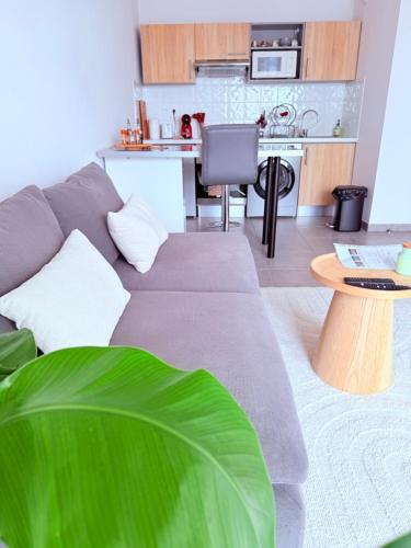 Kitchen, L'Occitan T2 a 10 minutes du cœur de Toulouse Parking prive et Metro in Croix-Daurade