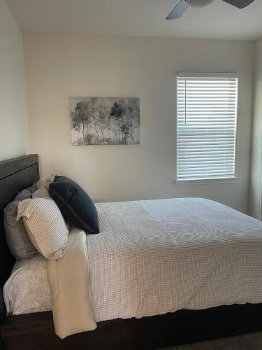 Hi-Tech Haven by Hospital & Lake, Granbury