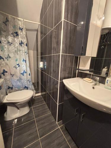 Apartmani Radovanovic - image 3