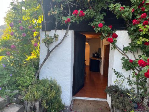  Charming alps apartment perfect for walk/cycle/ski in Eschenbach