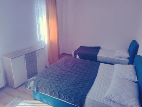 Jablanica villa with pool in Jablanica