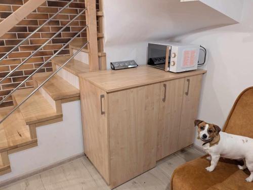 Extra Apartament Leśny Miodek Sielpia Wielka