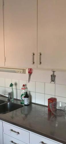 Viksjo Centrum Apartment in Järfälla