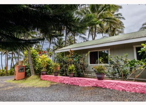 A környék, Whale House at Kehena Beach in Kehena (HI)