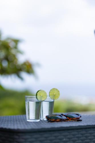 Jardín, Appartement des 5 Trésors - piscine et vue panoramique (Appartement des 5 Tresors - piscine et vue panoramique) in Le Precheur
