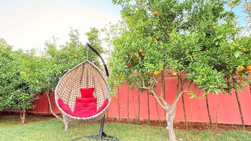 Garden, Villa Dayet Roumi House in Khemisset