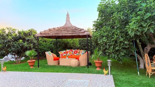 Garden, Villa Dayet Roumi House in Khemisset