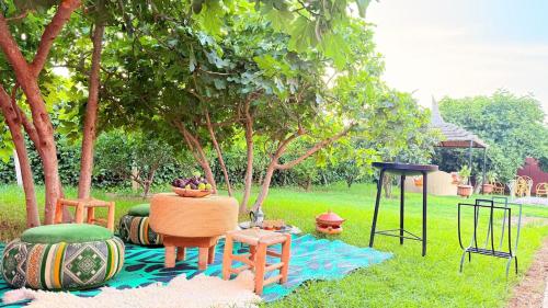 Garden, Villa Dayet Roumi House in Khemisset
