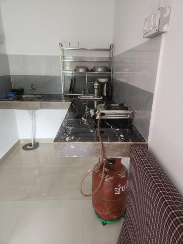 Jagdishwary kuteer Home stay in Kasoti
