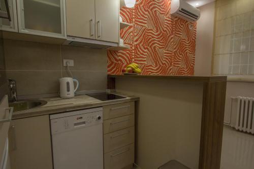 One-Bedroom Apartment image 9