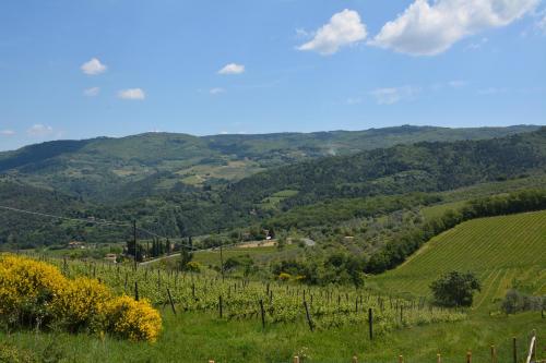 Rosso Del Chianti