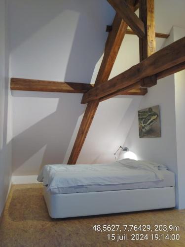 Large duplex with terrace, Strasbourg (photo 4)