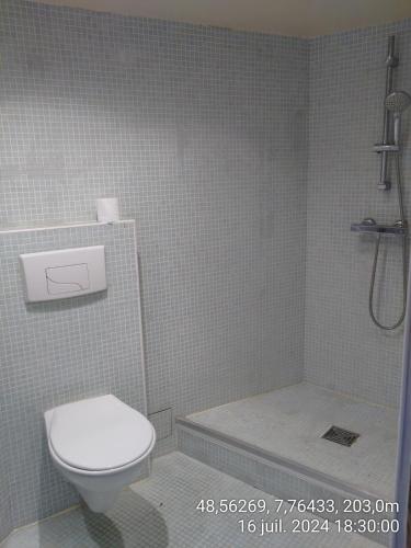 Large duplex with terrace, Strasbourg (photo 9)
