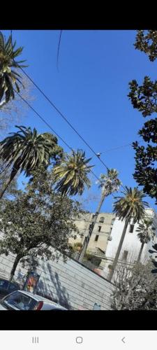 Angela&Botanico, Naples (photo 8)