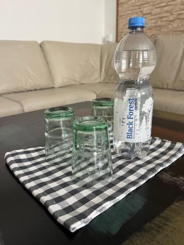 Sweet Home, Drážďany (fotografie 7)