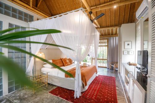Deluxe Double or Twin Room with Pool View image 5